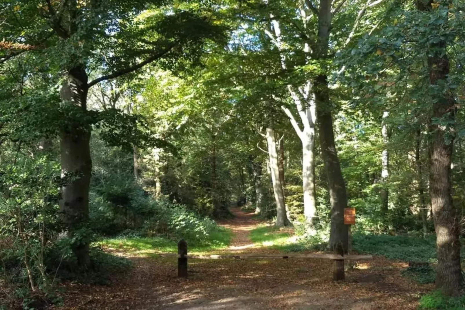 De Meerkoet-Areas within 5km in summer