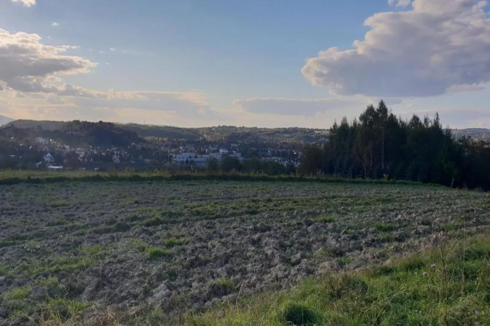Villa Dobczyce-Gebiete Sommer 5 km