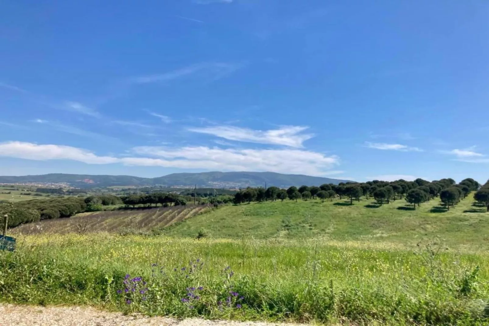 Casa do Coqueiro-Areas within 5km in summer