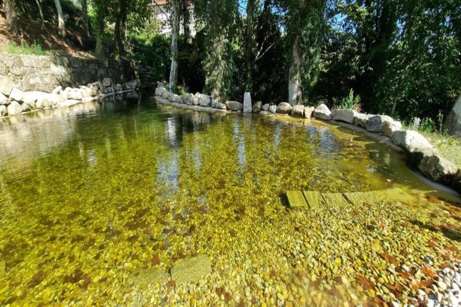 Mira-Areas within 5km in summer
