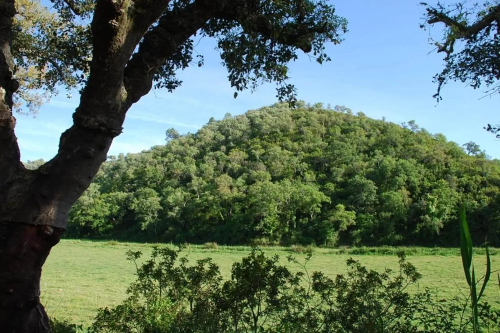 Casa do Tanque-Zones été à 20 km