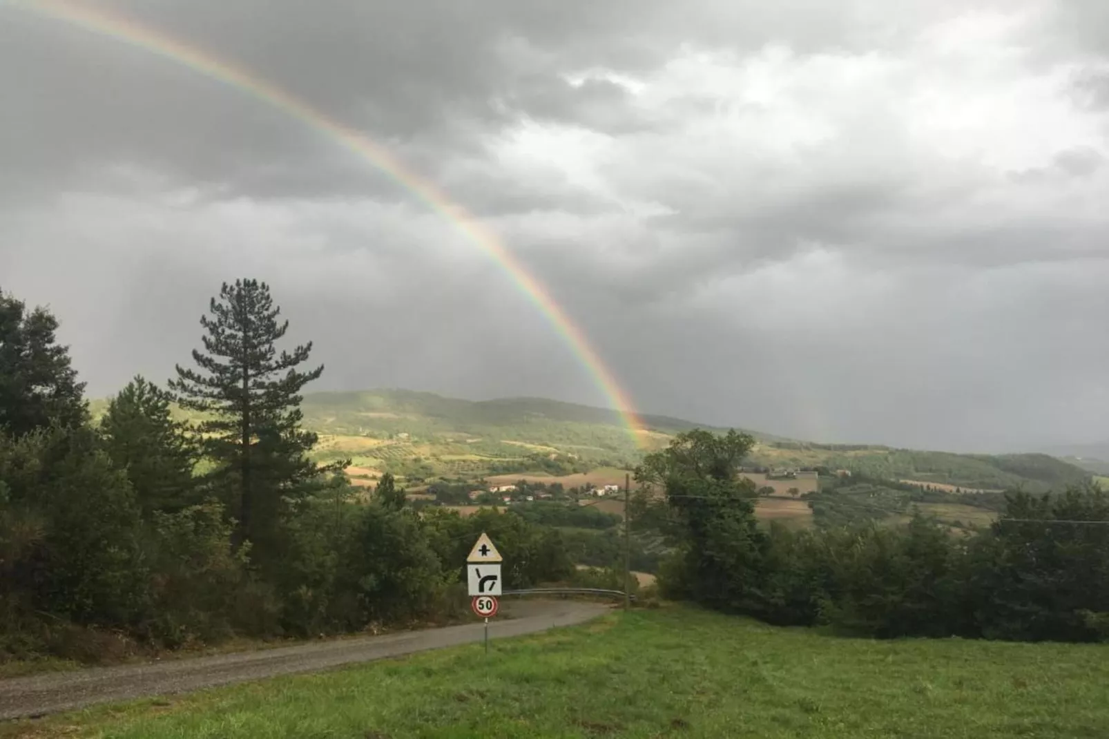 Rondine-Areas within 5km in summer