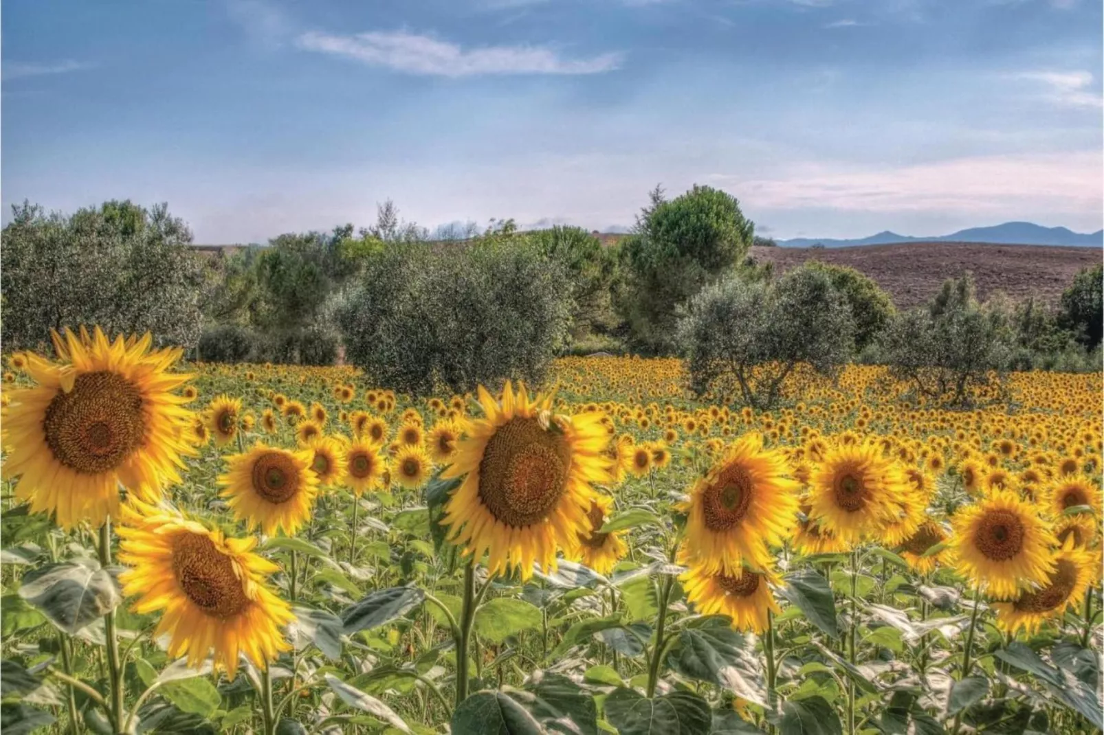 CASA ROSSA 8 pax-Areas within 20km in summer