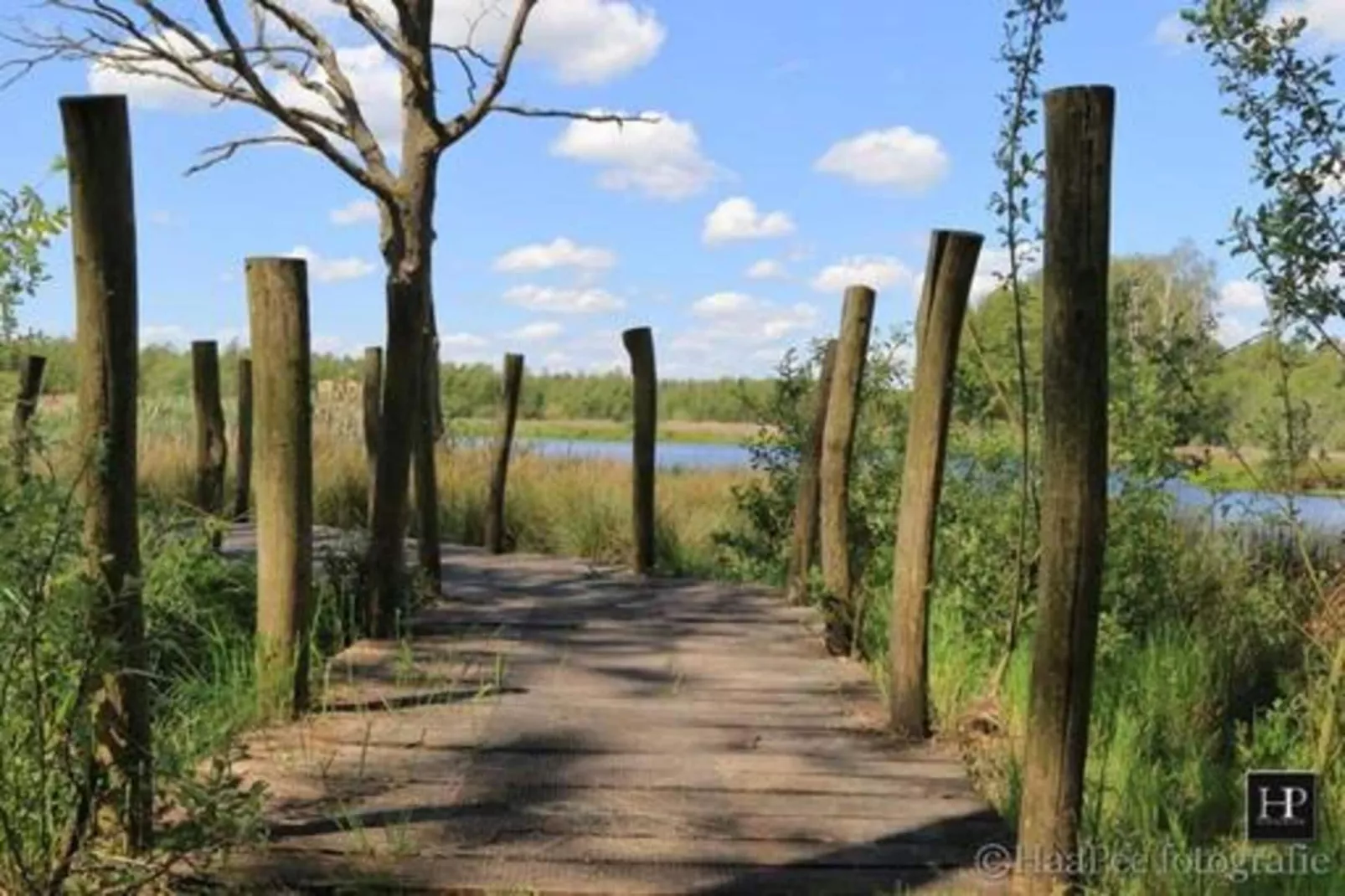 Villa Zonnewijzer-Gebiete Sommer 20 km