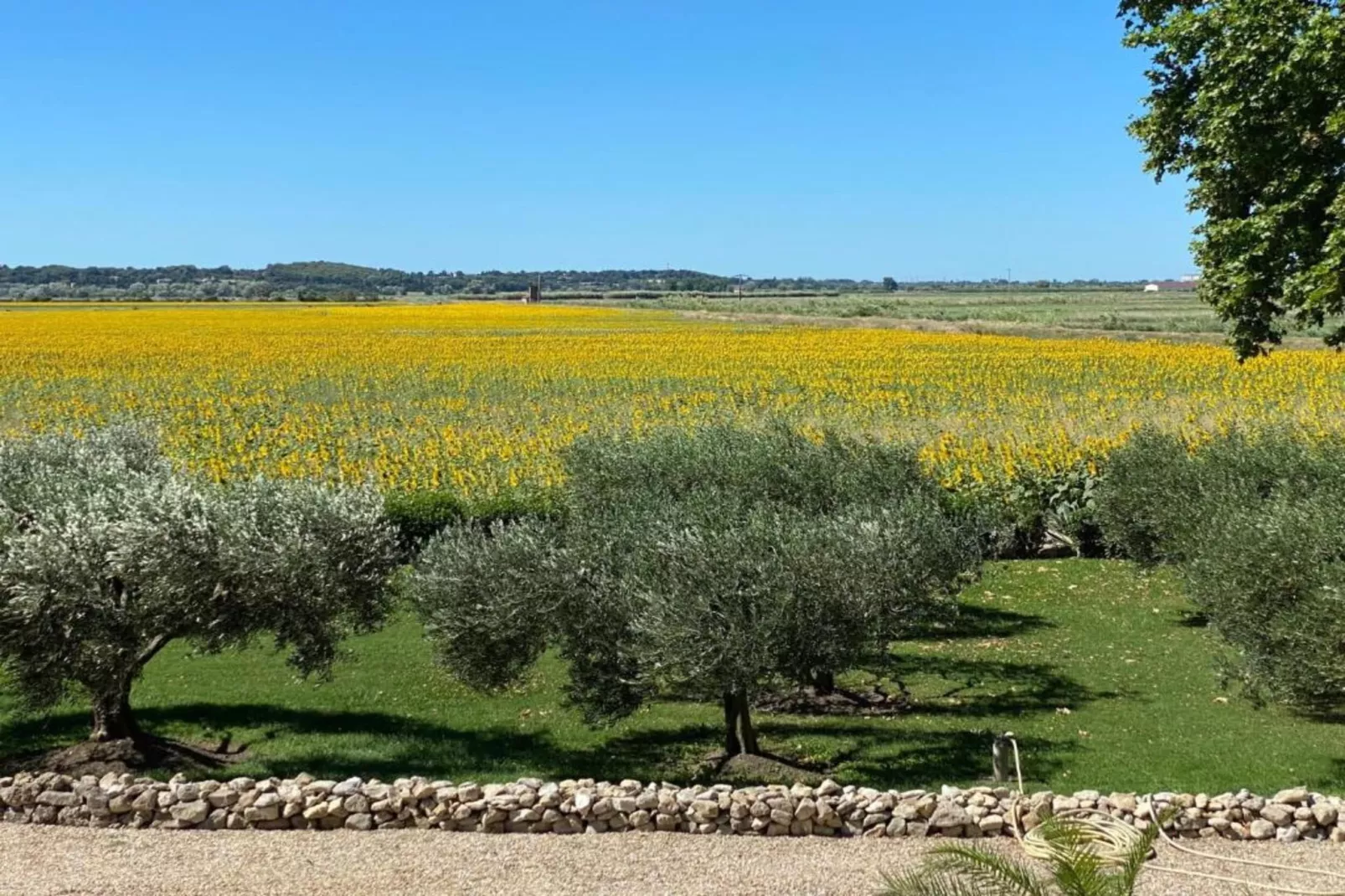 Le Mas du Goïo-Areas summer 20km