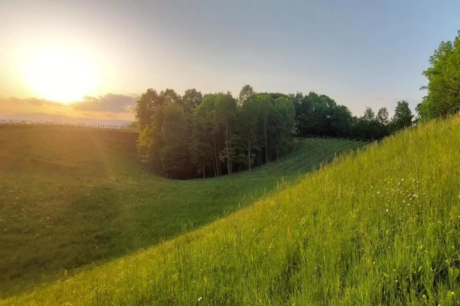 Cason sul Piave-Areas within 20km in summer