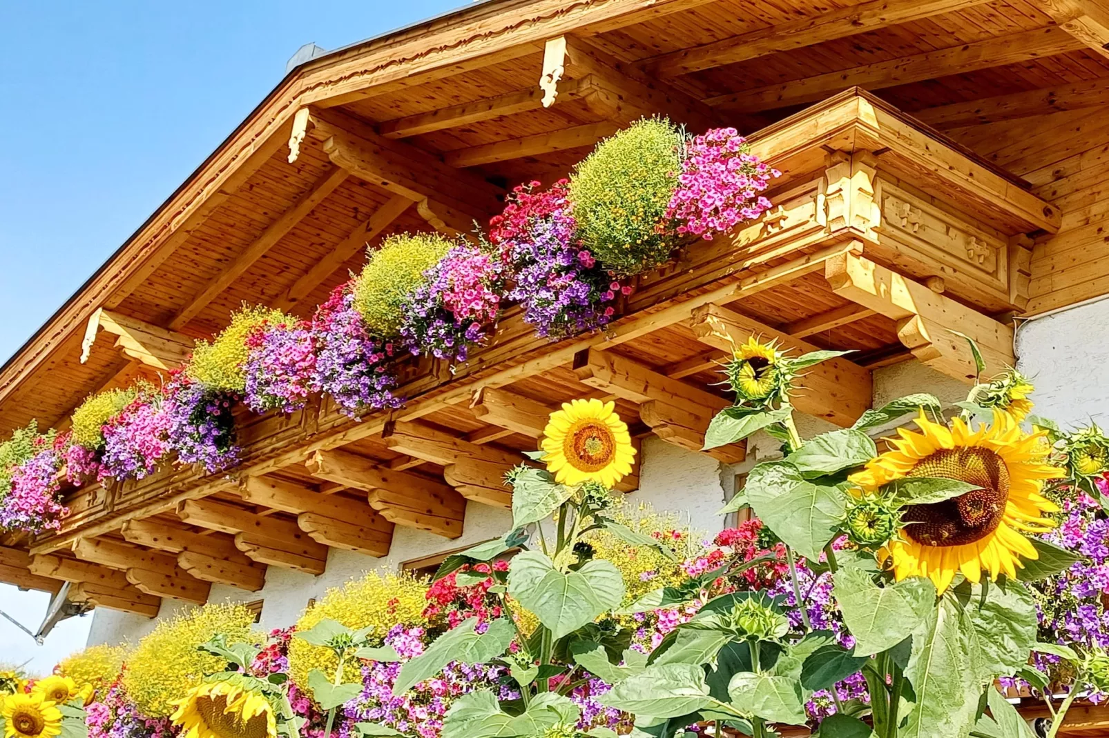 Ferienwohnung am Bio-Bauernhof-Exterior in summer