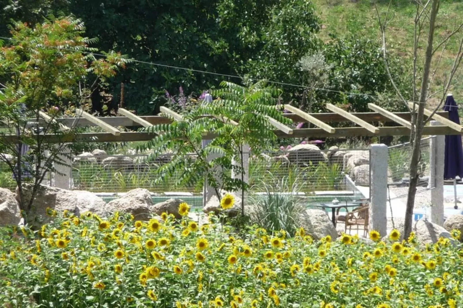 Casa Covas-Jardins en été