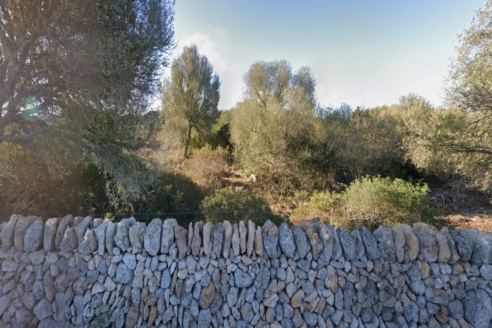 Can Xesquet-Areas within 1km in summer