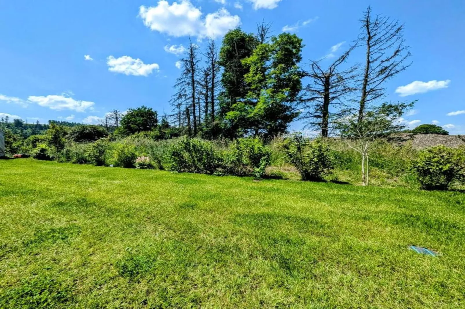 Deifeld-Gebiete Sommer 5 km