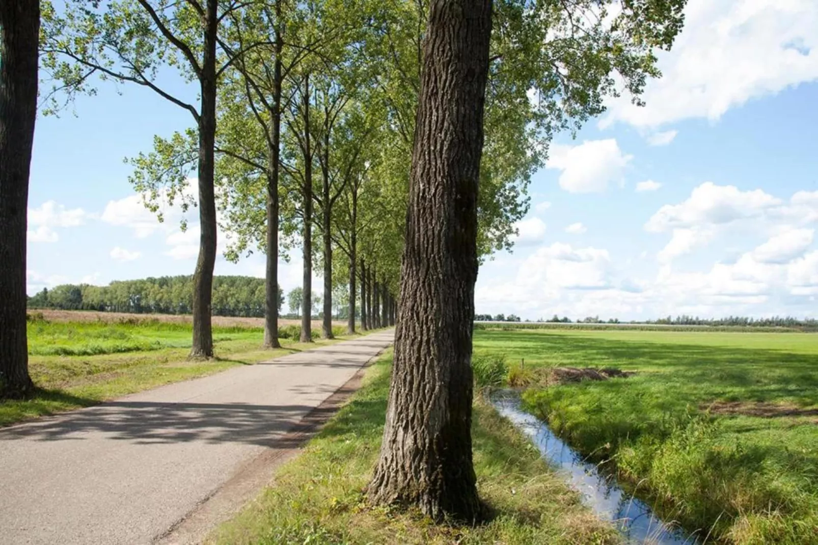 MarinaPark Bad Nederrijn 4-Areas within 5km in summer