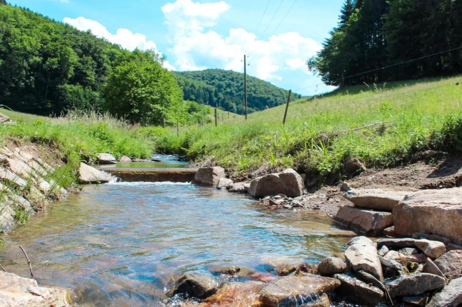 Im Ländle-Gebiete Sommer 20 km