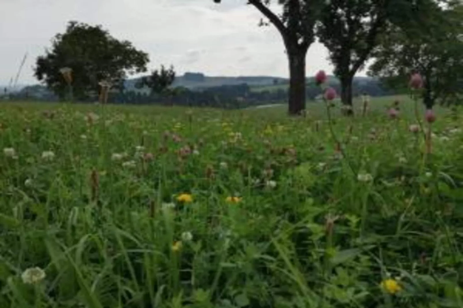Thüringer Ferienhäuschen-Zones été à 20 km