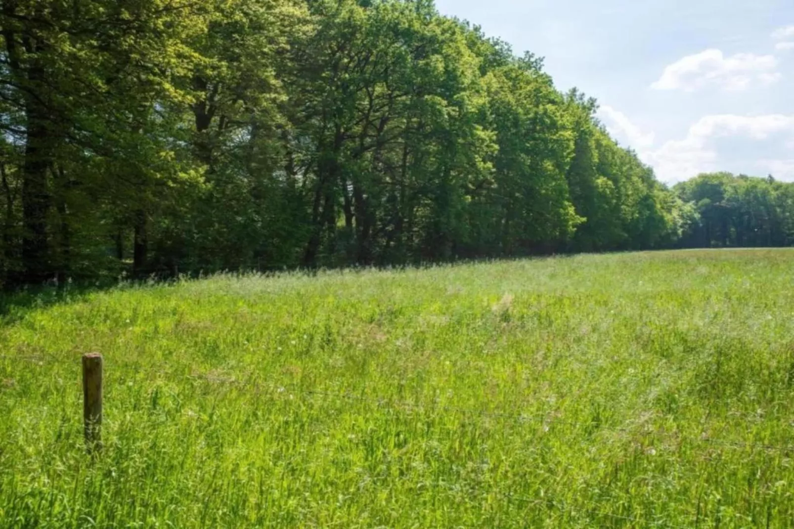 Hulshorsterhout-Areas within 20km in summer