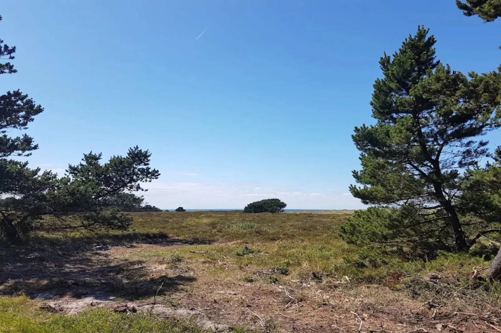 5 Personen Ferienhaus in Læsø-Nicht zugeordnet