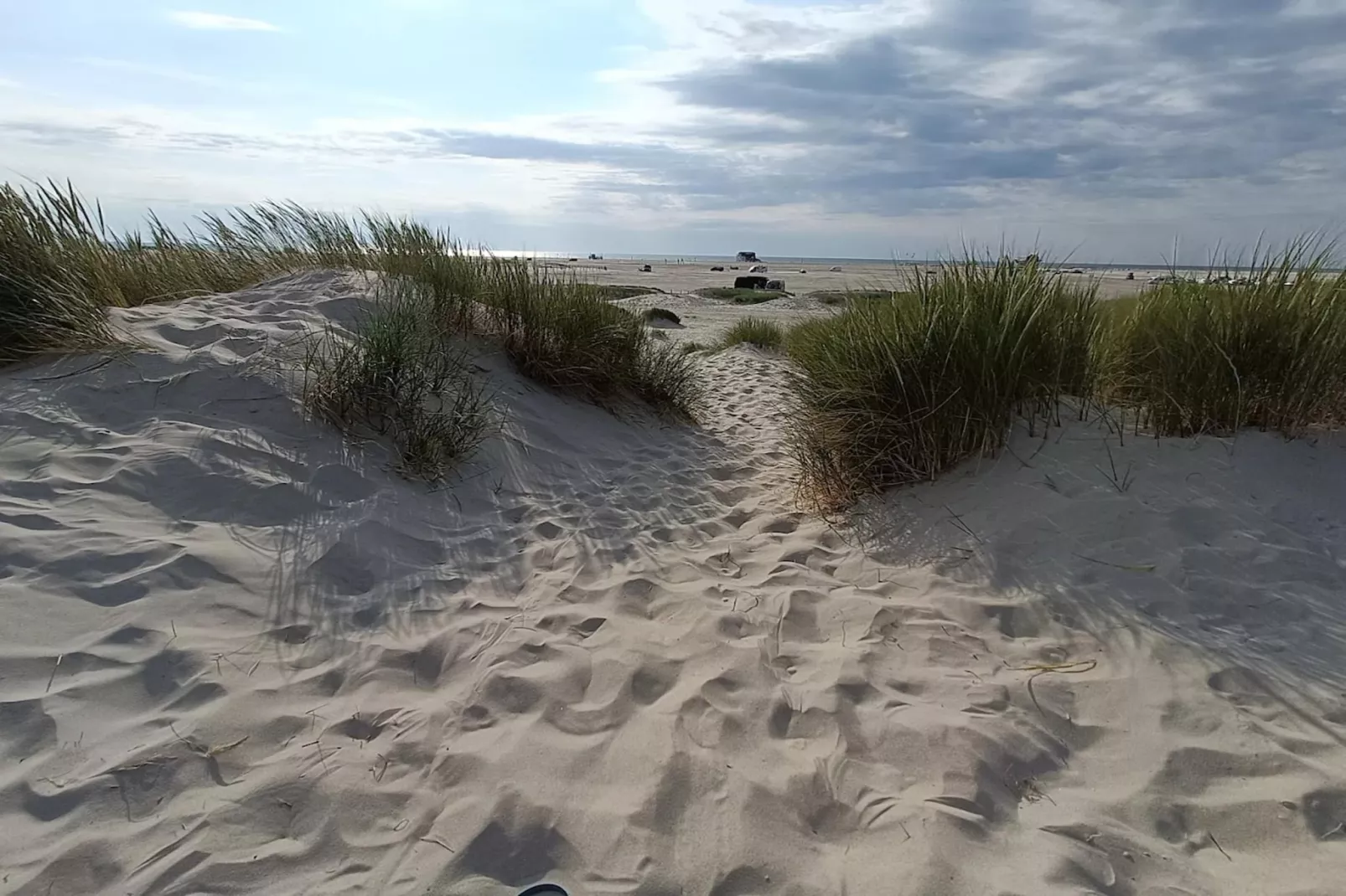Strandperle-Areas within 5km in summer