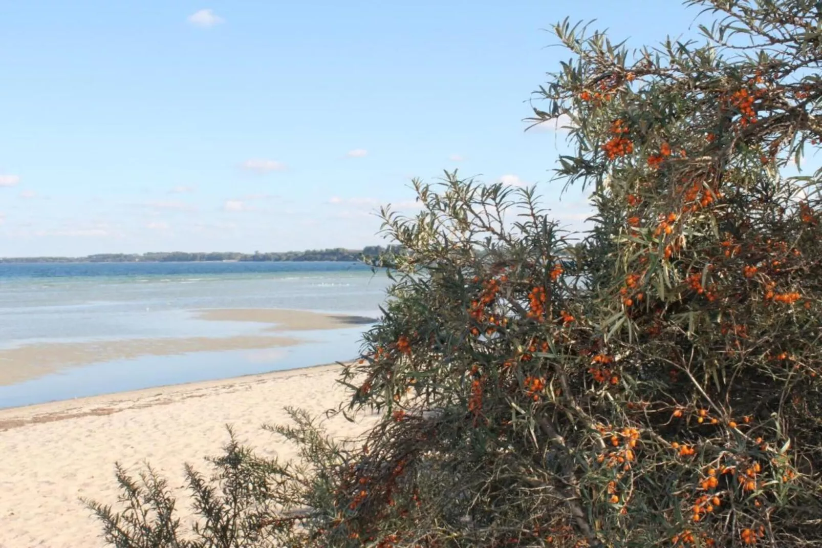 Ferien an der Ostsee-Gebiete Sommer 5 km