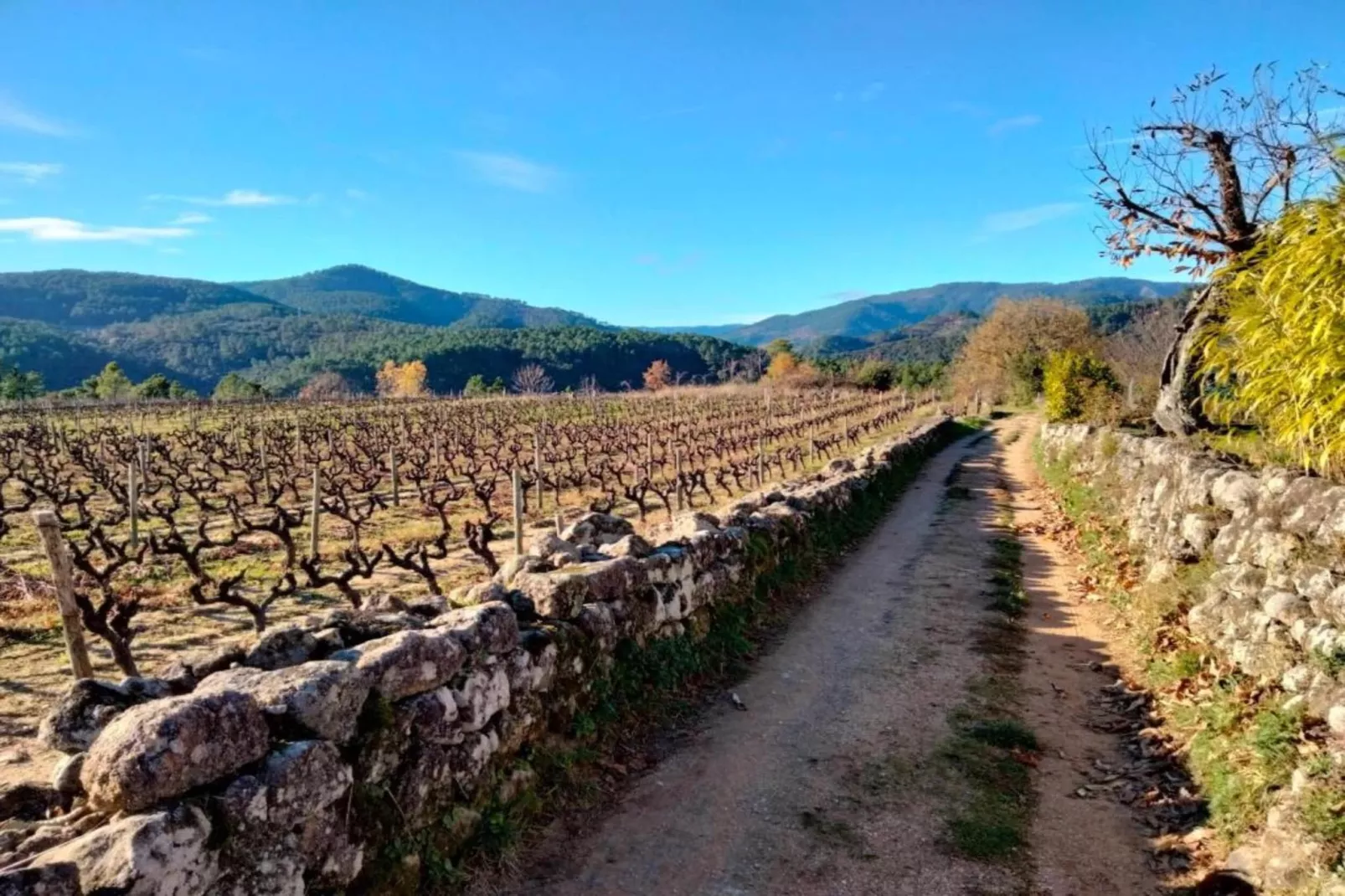 LA BOSCALIERE/ CHABROUD-Zones été à 20 km