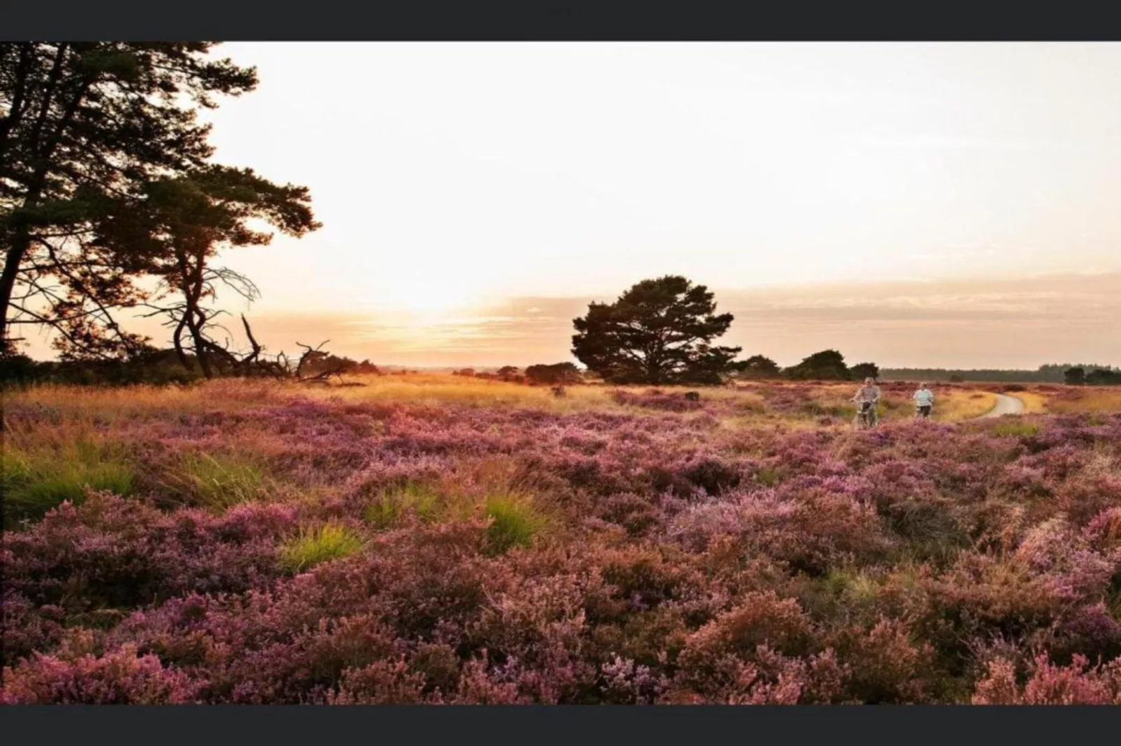 MM Nature-Areas within 20km in summer