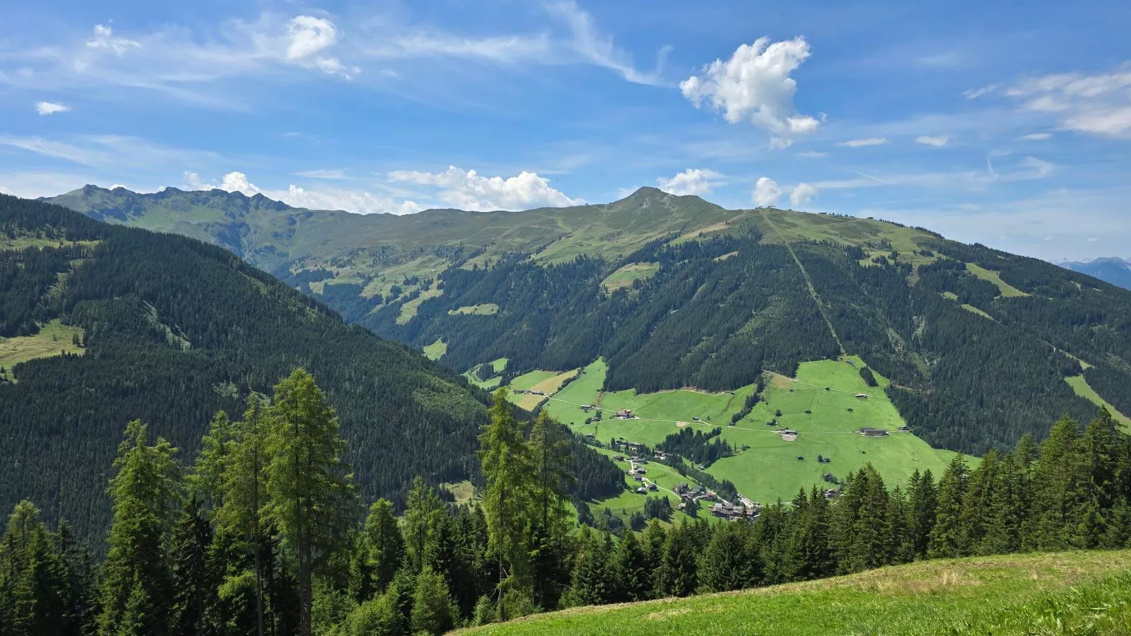EAGGA-Niederleger Alm-Vue d'été