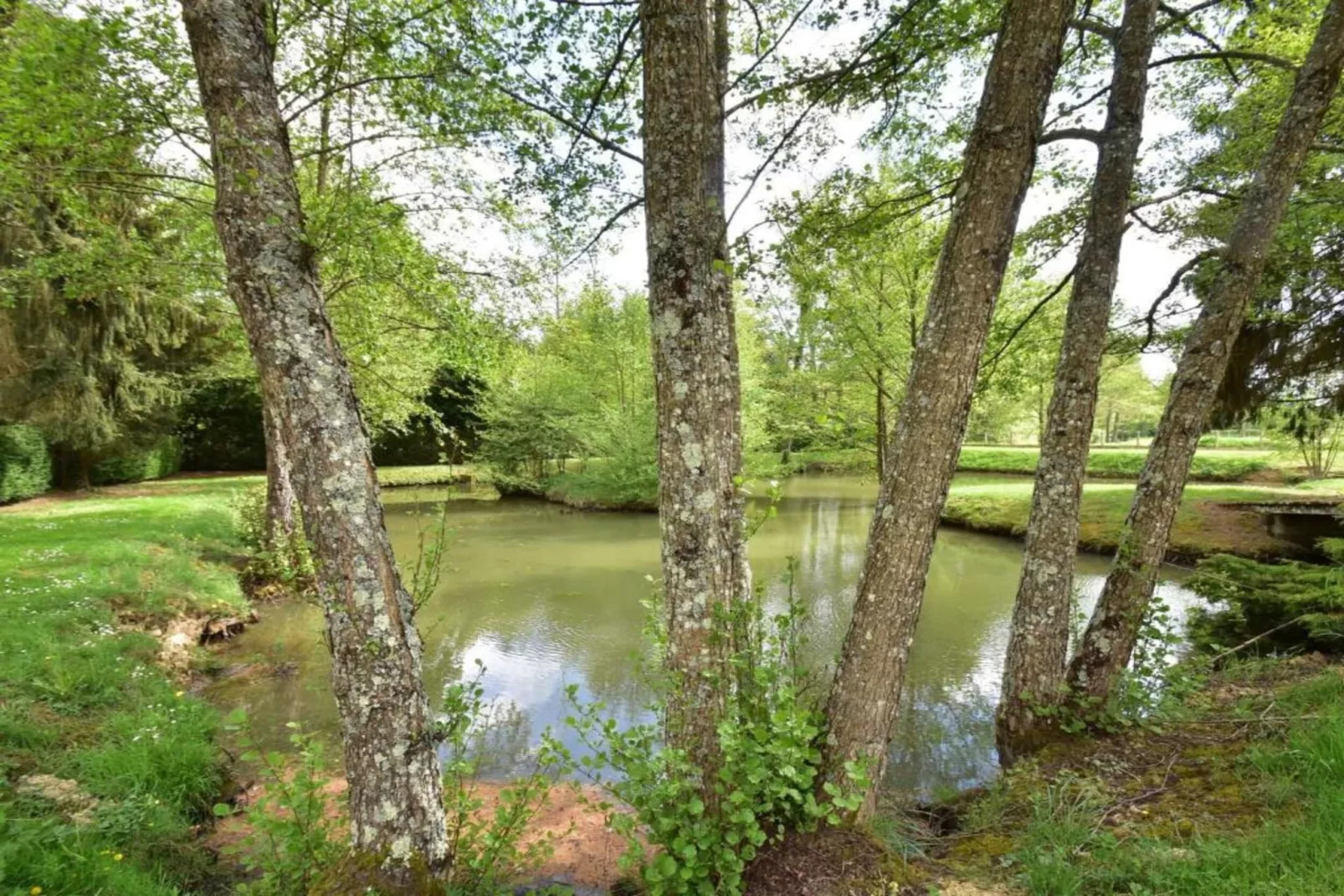 La Campagne-Gebiete Sommer 5 km