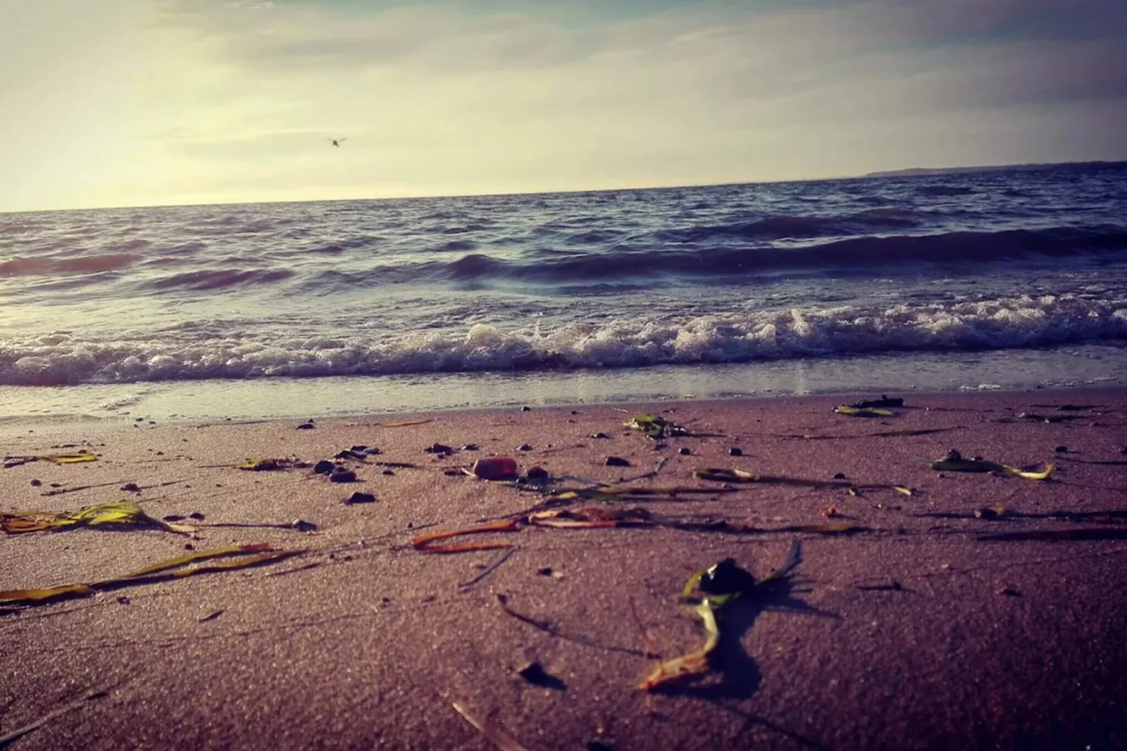 Renovated Cottage by Toftum - By Traum Ferienwohnungen-Water view