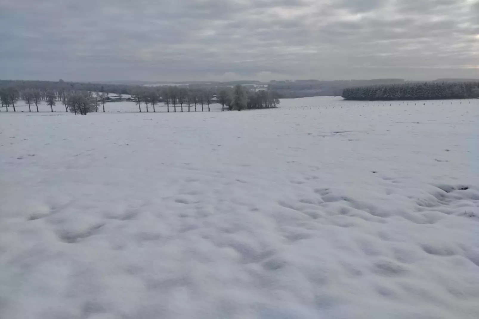 Het Wilgenhuis-Zone d'hiver à 20 km