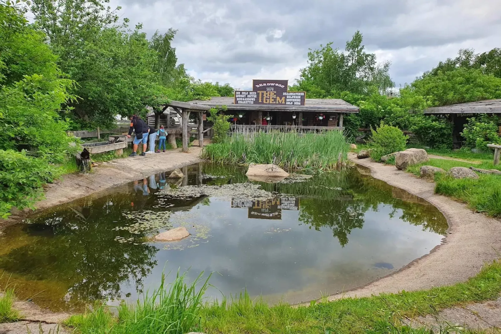 Ferienhaus in Hasselfelde - Haus 54 Blauvogel-Gebiete Sommer 5 km