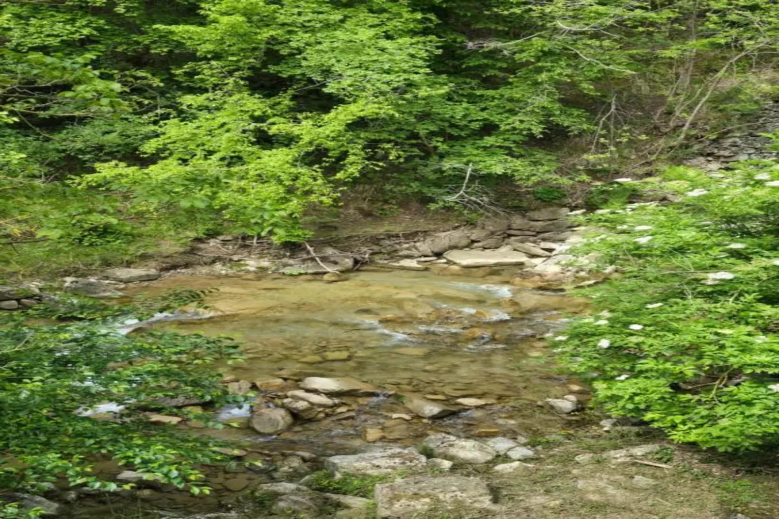 Am Neckar-Areas within 20km in summer