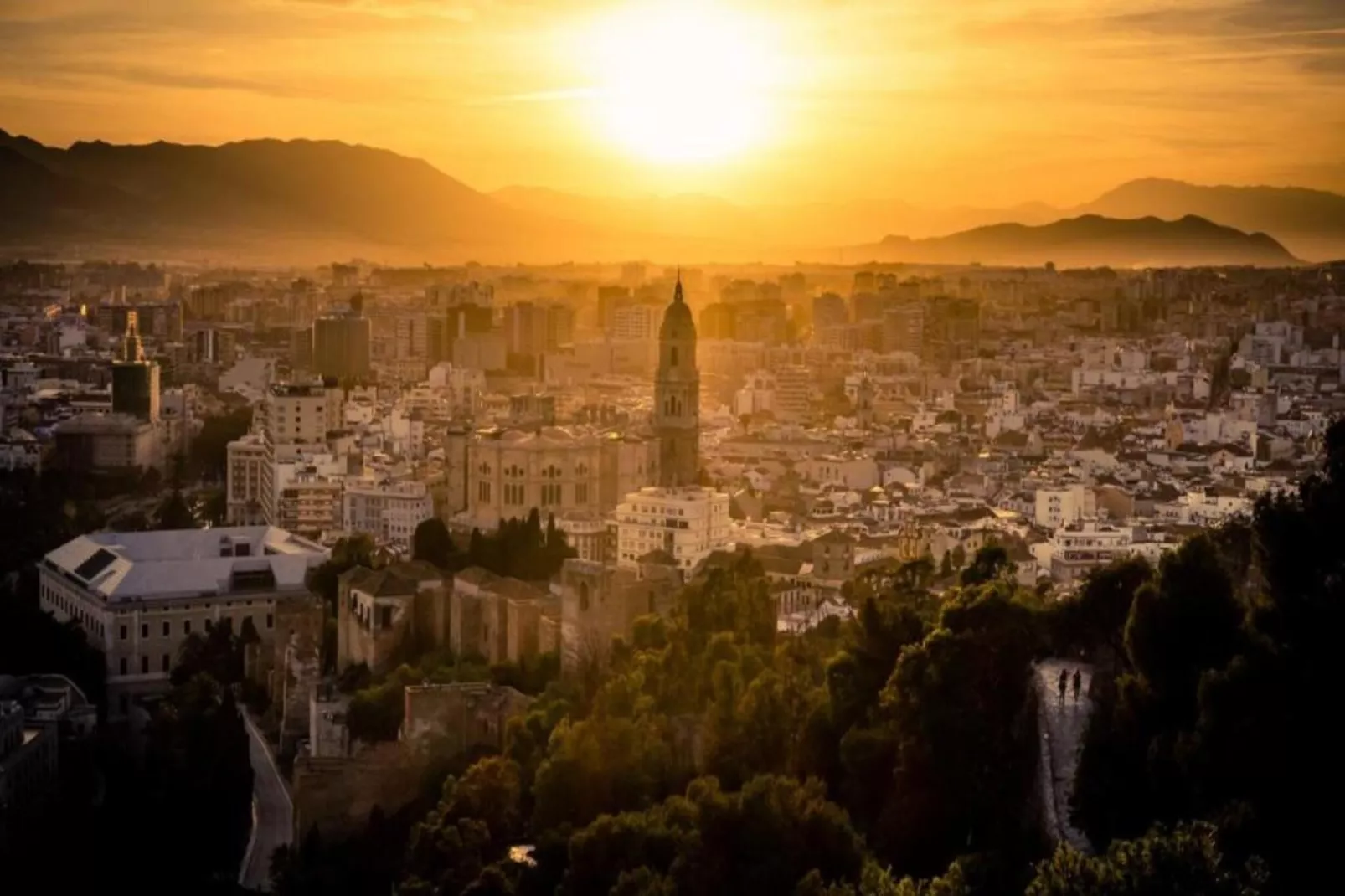 La Zenaida IV-Areas within 20km in summer