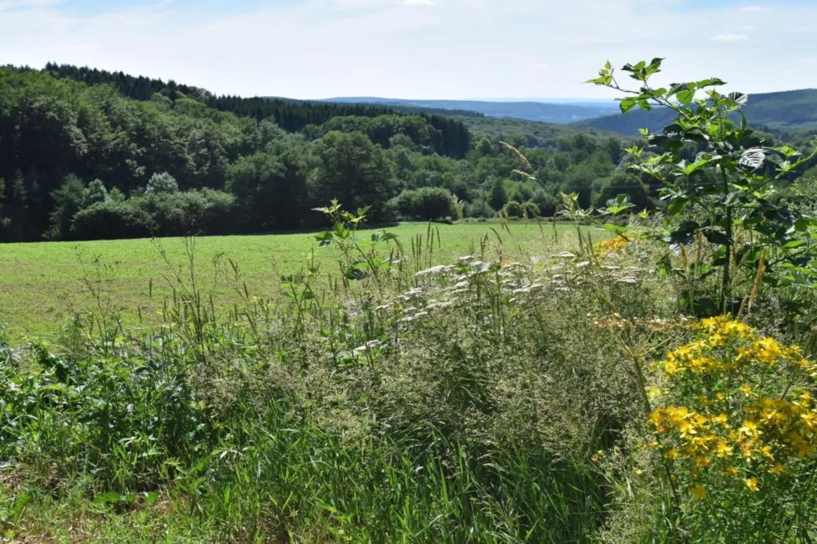 Apt Catharina 3 pers piscine partagée-Zones été à 20 km