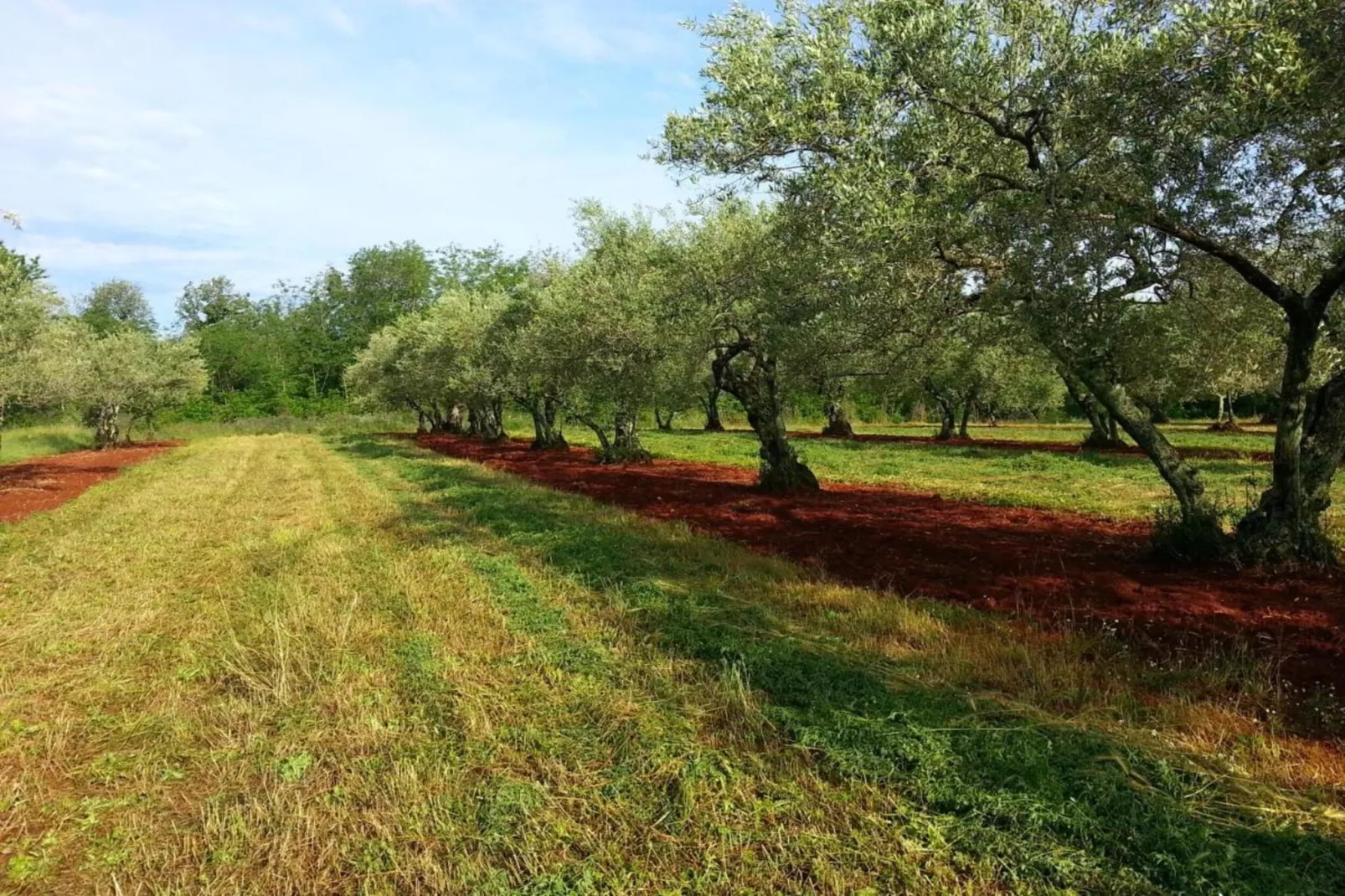 Villa Jerolim-Areas within 20km in summer