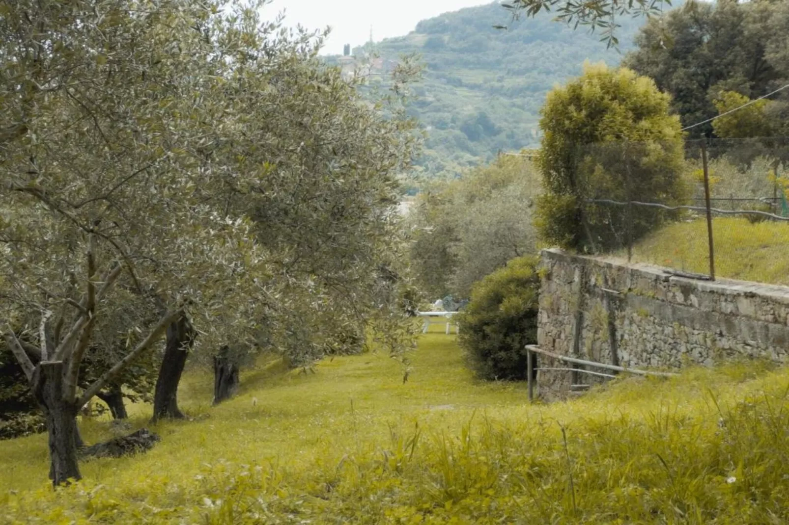 Gromoletta-Gebiete Sommer 20 km