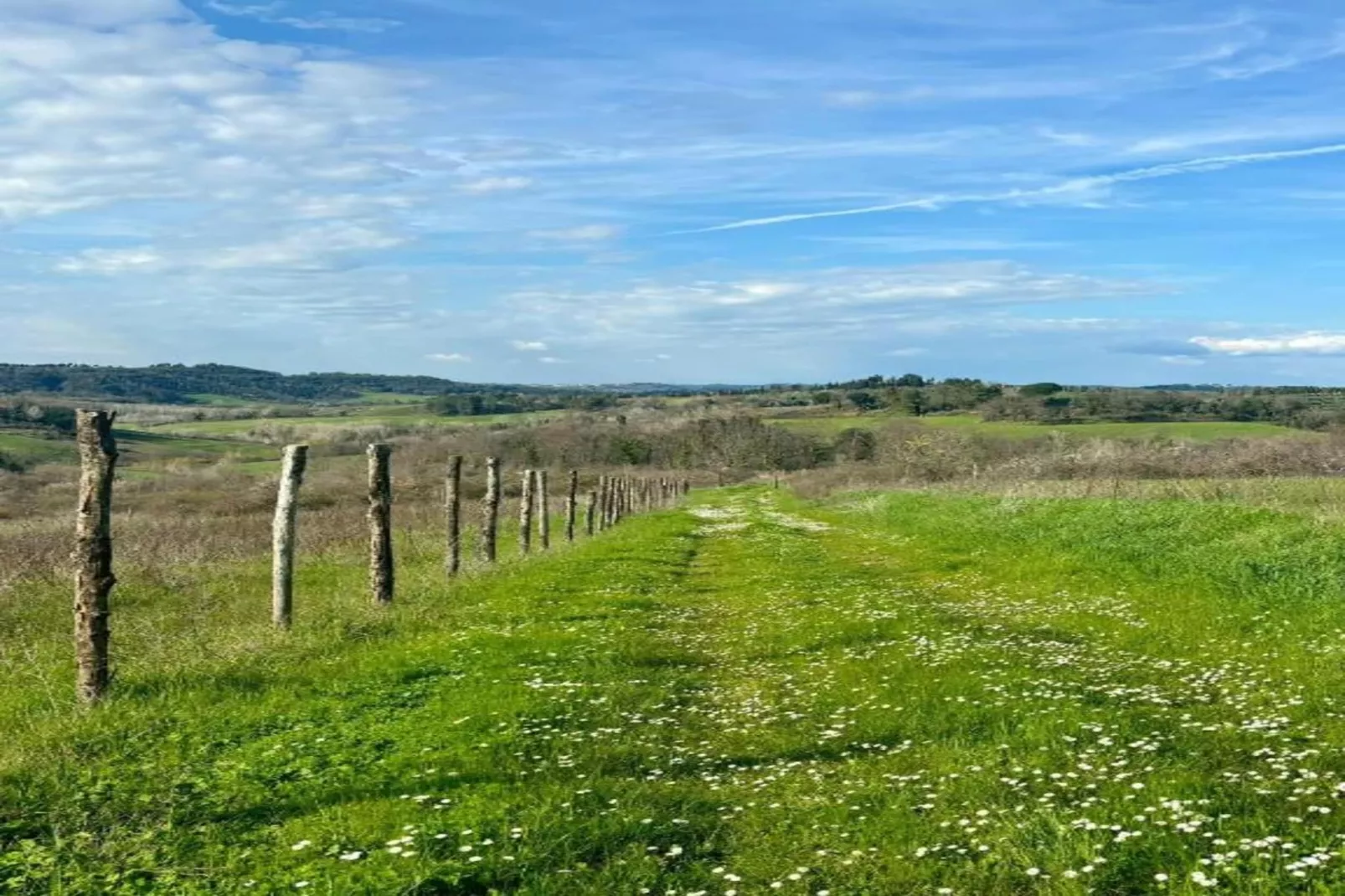 Villa Celli Sei-Areas within 5km in summer
