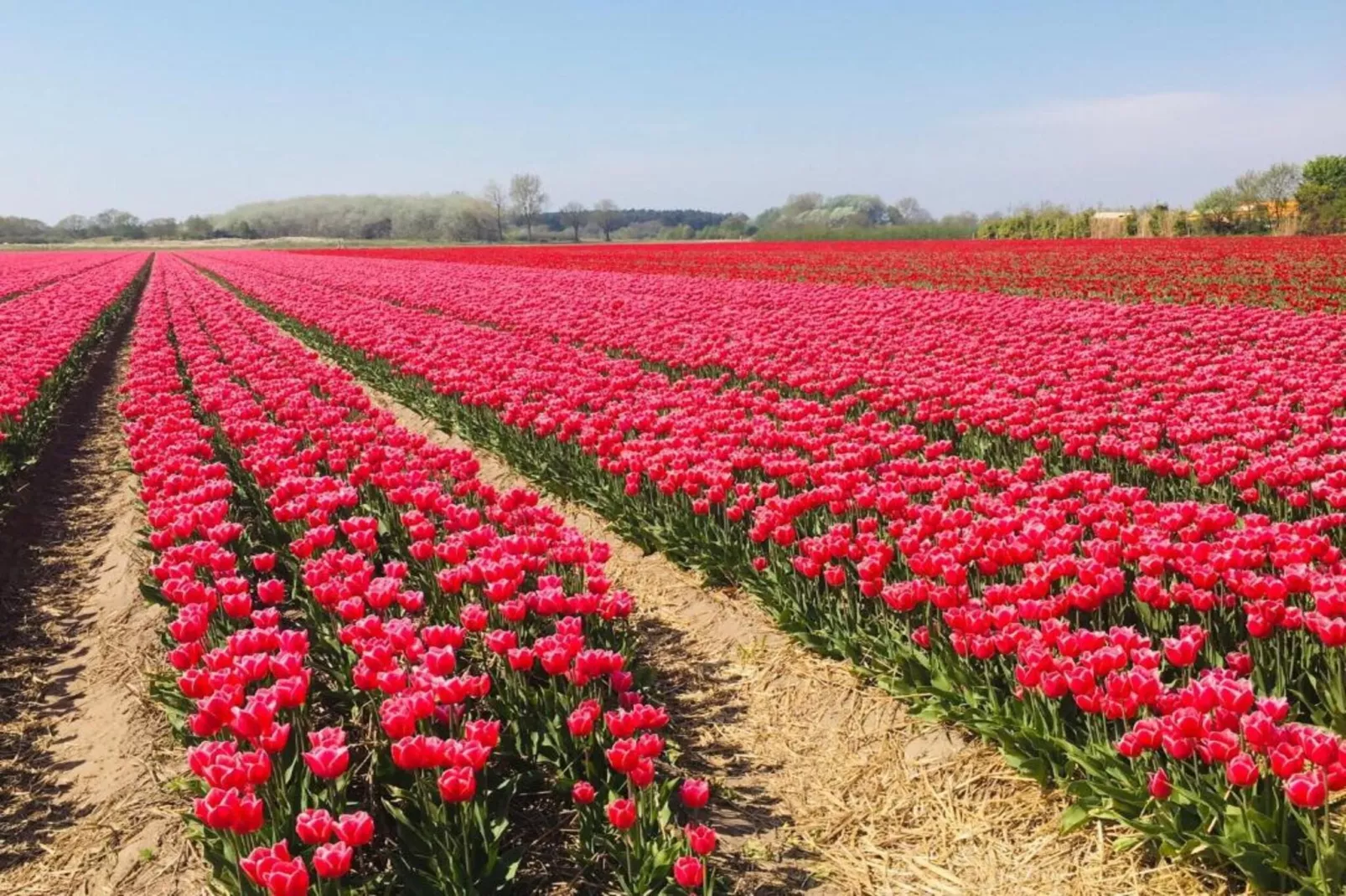 Waterpark de Meerparel 13-Areas within 20km in summer