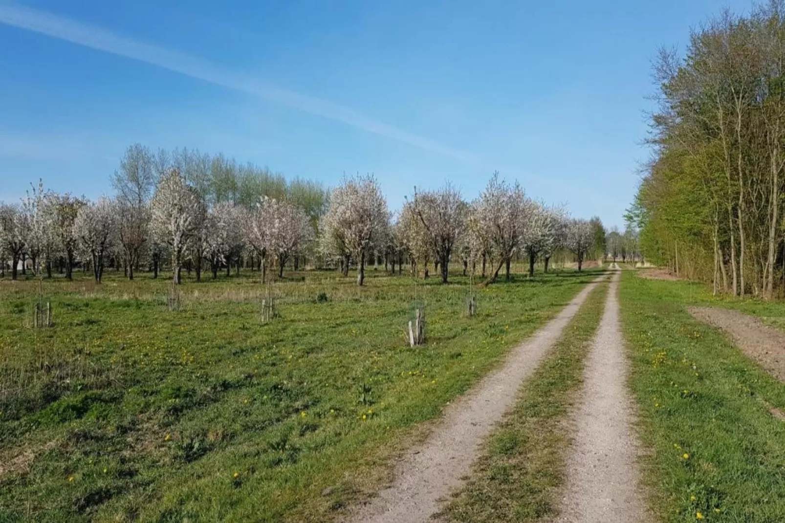 Resort de Parel 13-Areas within 20km in summer