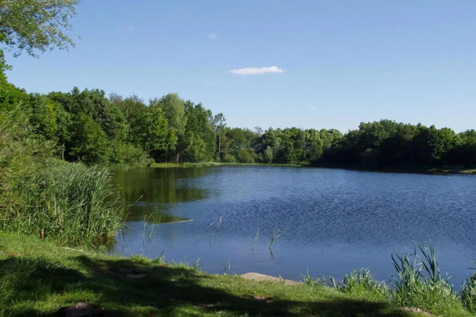 Vakantiepark Schaijk 10-Gebiete Sommer 5 km