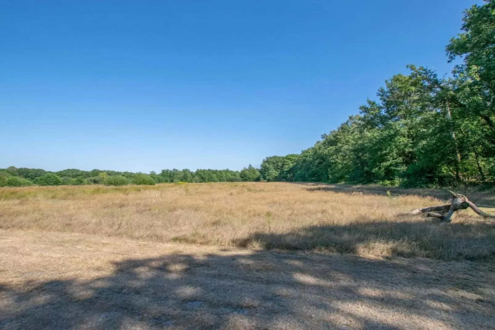 Vakantiepark Sandberghe 13-Zones été à 20 km
