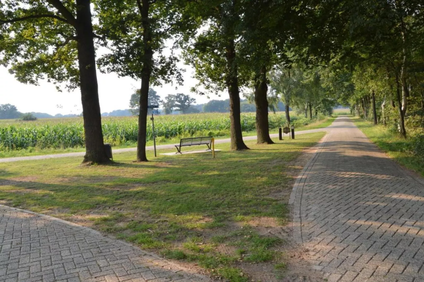 Vakantiewoning de Zwaluw-Areas within 20km in summer
