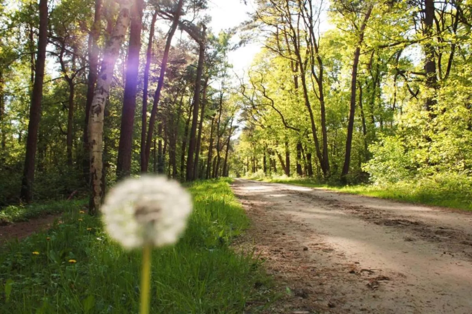 De Weelderik 2-Gebiete Sommer 20 km