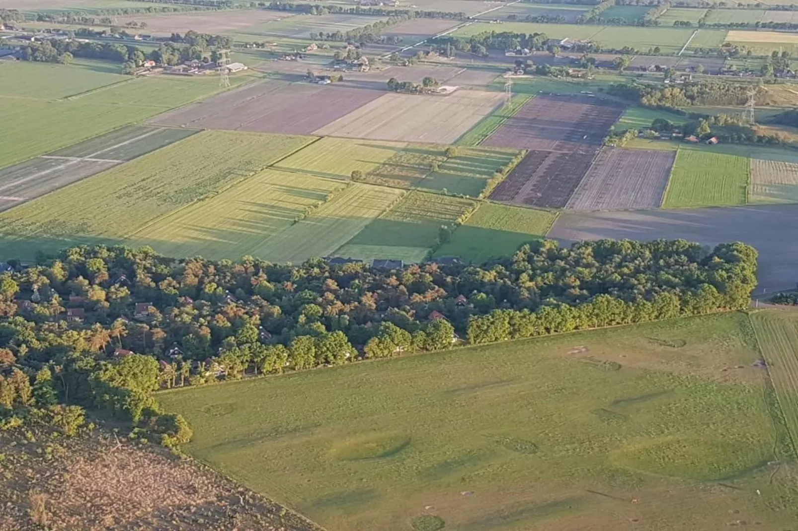 Vakantiepark Hellendoorn 4-Areas within 5km in summer