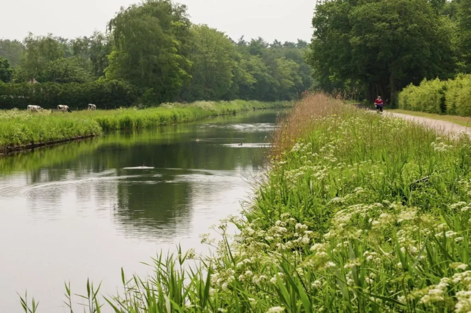 Koe in de Kost 3-Zones été à 1 km