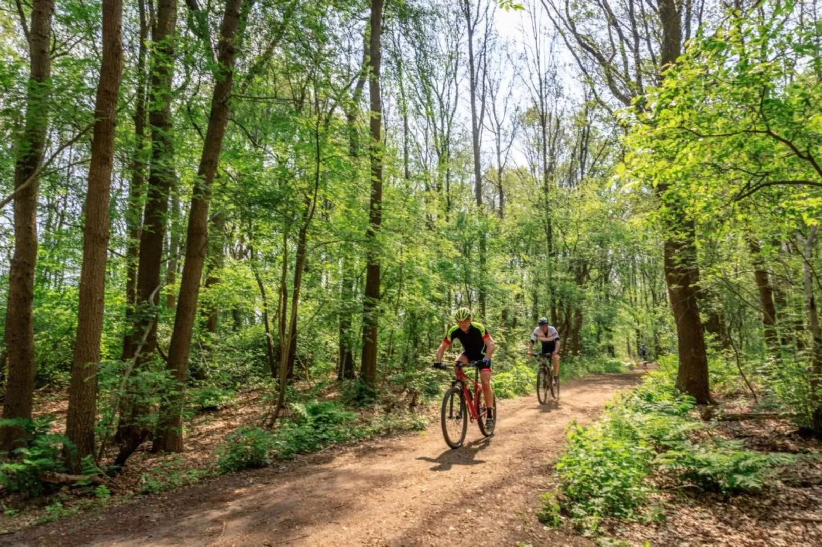 Resort Drentse Weelde 1-Areas within 5km in summer