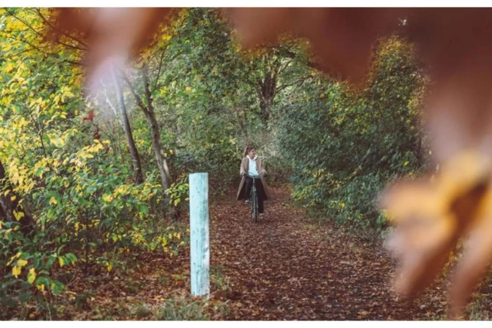 Dwergarend 17-26-Areas within 20km in summer