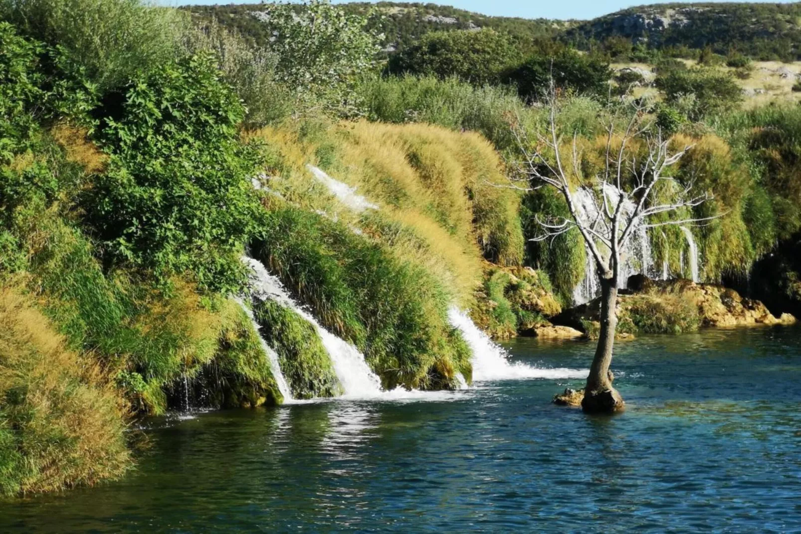 Dalmacija 3-Areas within 5km in summer