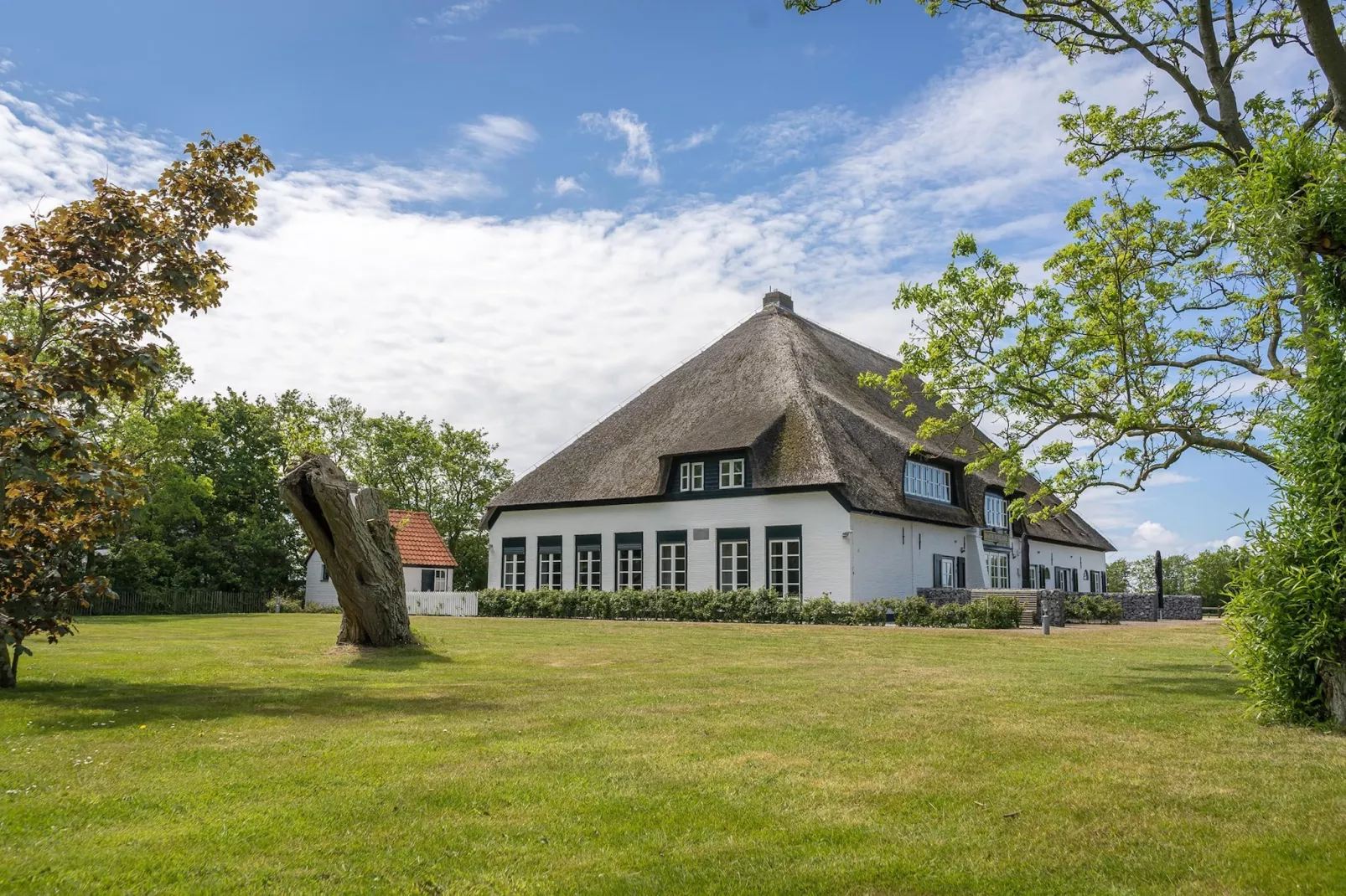 App Hoeve Holland T4 - Exterior in summer