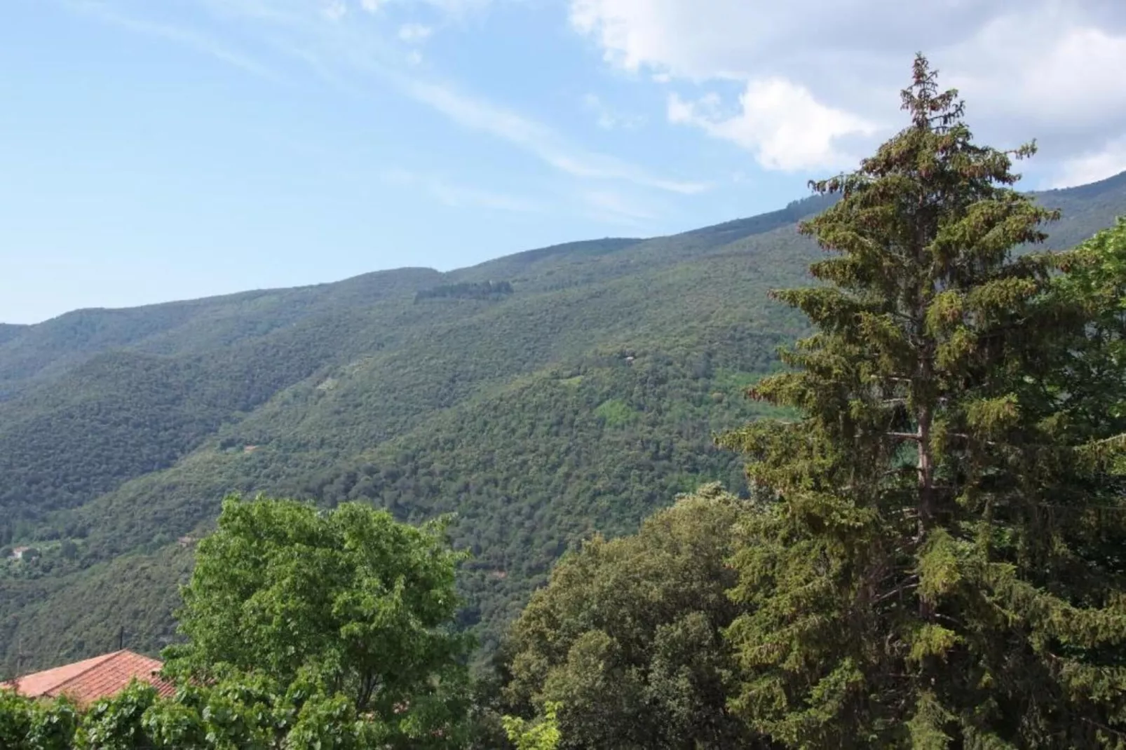 El Magraner-Areas within 5km in summer