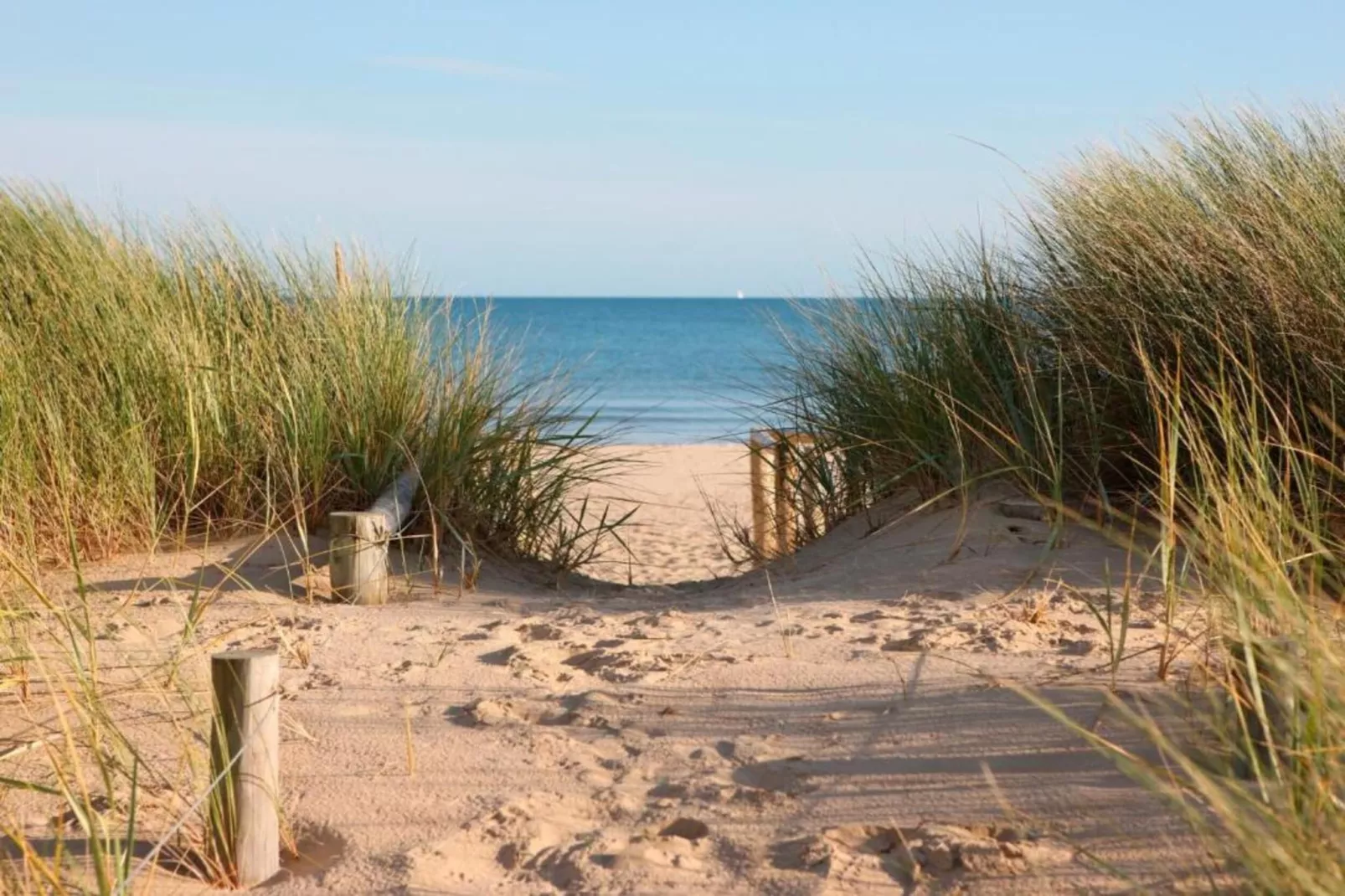 STTROP/STTRO201-Gebiete Sommer 5 km