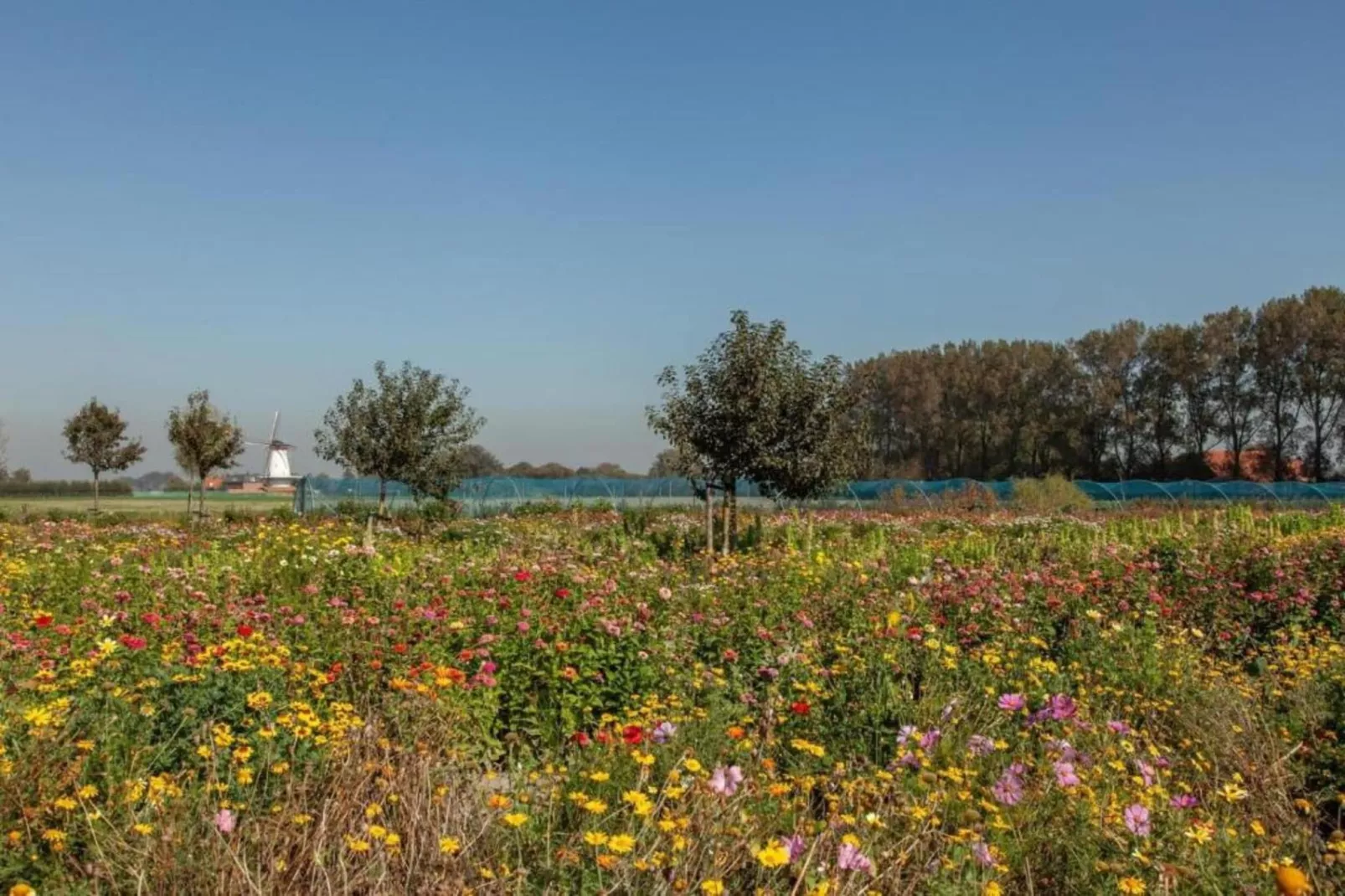 Vakantiepark Duinzicht 12-Areas within 20km in summer