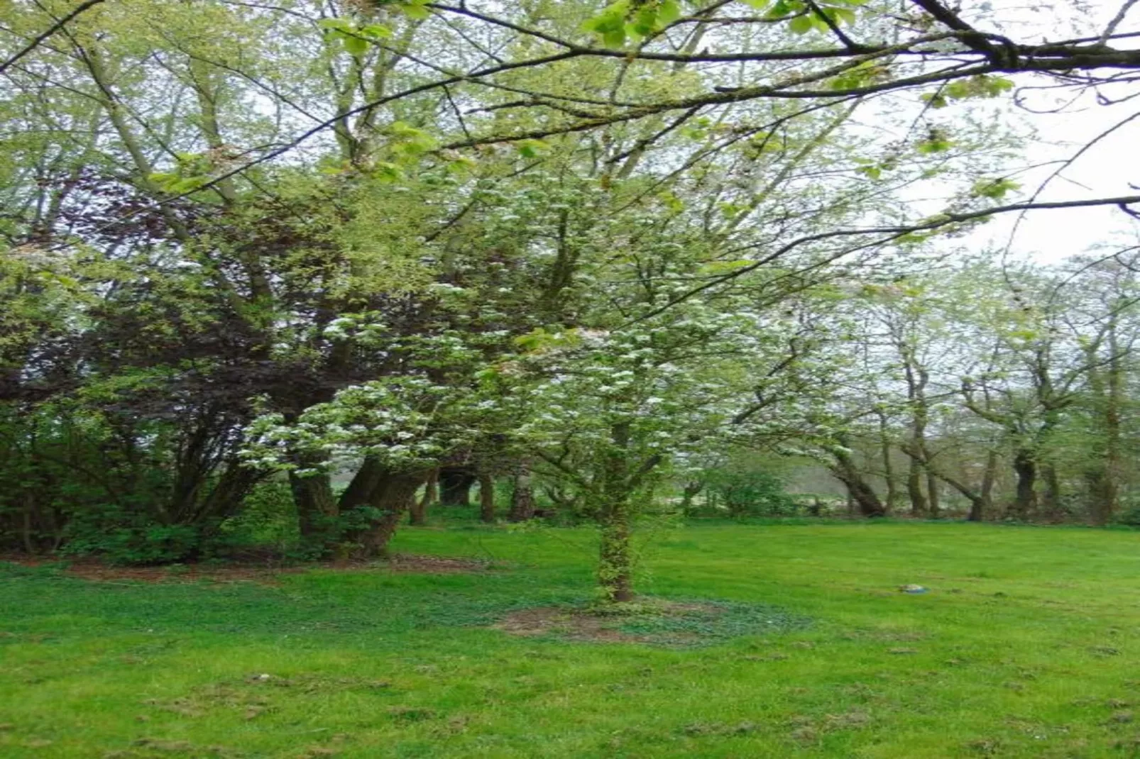Verblijfpark Breebos 3-Areas within 20km in summer